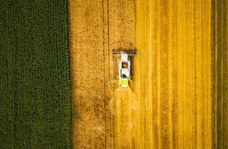 一种现代集成收割机在小麦田中工作空观察乡村景一种现代集成收割机空中观察在小麦田中工作图片