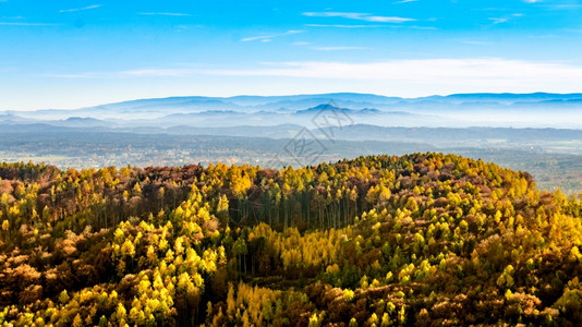 秋天风景地表的多彩林木和背景的蓝山背景图片