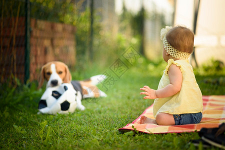 年轻女婴在户外养小狗家庭宠物概念图片