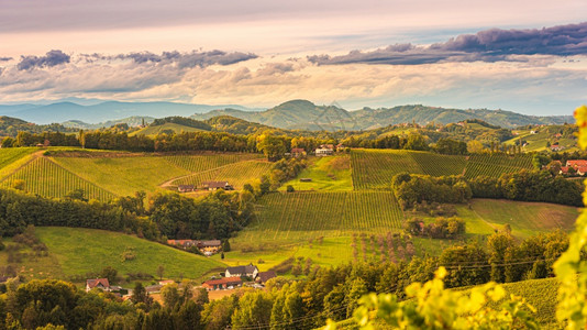 南施蒂里亚葡萄园地貌靠近奥利加姆茨奥地欧洲埃克伯格秋天葡萄山从酒路看山旅游目的地全景秋天从葡萄酒路看山图片