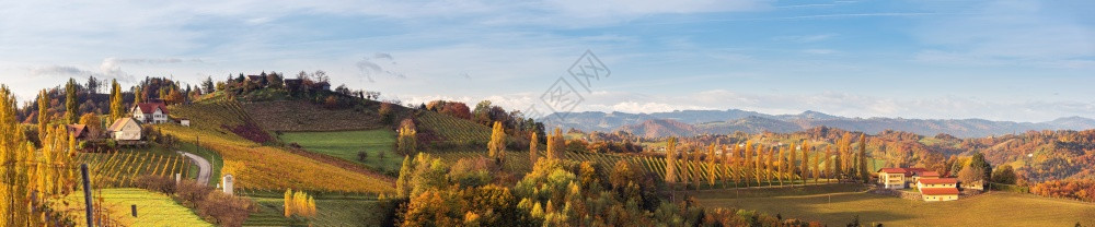 奥地利托斯卡纳的南方葡萄园全景色秋天的日出山顶多彩树木和有花岗的黄地奥利托斯卡纳的南方全景色葡萄园秋天的日出图片