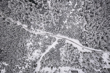 白雪松林和道路的空中景象徒步路线冬季斯提里亚的奥地利森林徒步路线图片