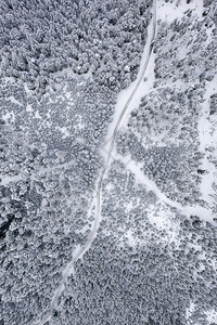 白雪松林和道路的空中景象徒步路线冬季斯提里亚的奥地利森林徒步路线图片