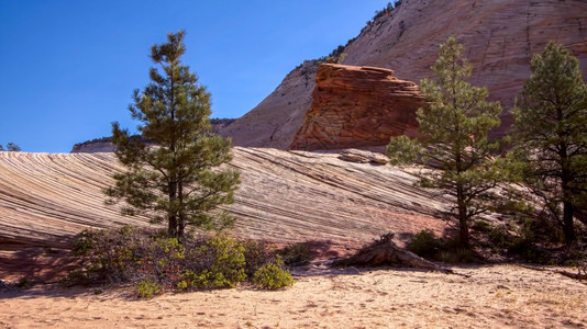 锡安的奇特岩石形成和棋盘Mesa图片