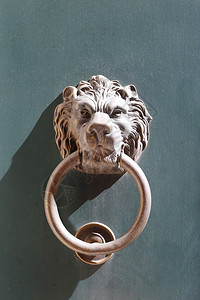 意大利萨沃纳绿木门上狮子头的斗牛犬意大利萨沃纳图片