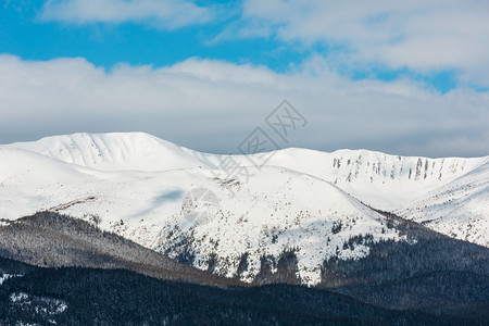 上午冬天的雪覆盖了风景和山脊乌克兰喀尔巴阡山克霍诺拉脉Dzembronya村郊区山丘的宁静景色图片