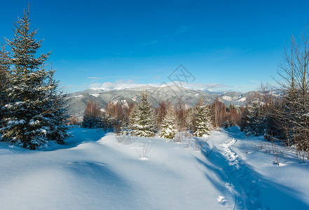 喀赞其照片来自阿尔卑斯山道的冬晨景其足迹出现在年轻的森林中Skupova山坡乌克兰Chornohora山脊和PipIvan山顶喀尔巴阡背景