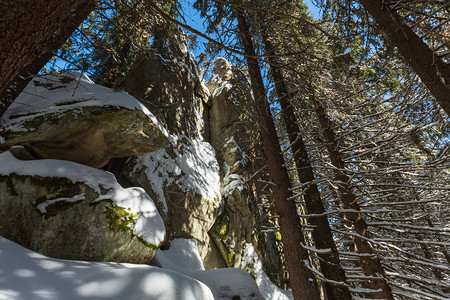 日落的寒雪覆盖了野生森林中的石块岩层在斯库波瓦山坡喀尔巴阡泽琳耶科夫纳乌克兰的斯库波娃山坡上拍摄的匈牙利石岩图片