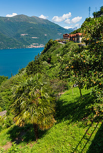 AlpineLakeComo夏季海岸景色意大利图片