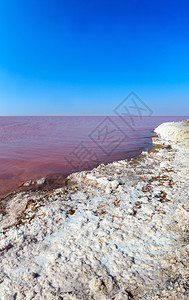 粉色极咸西瓦什湖以微藻为颜色含晶状盐沉降物又称普特里德海或罗滕乌克兰特森地区里米亚和阿拉巴特斯匹附近图片