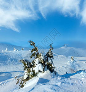 寒冬清晨山上的冰雪小木林多云的天气喀尔巴阡山图片