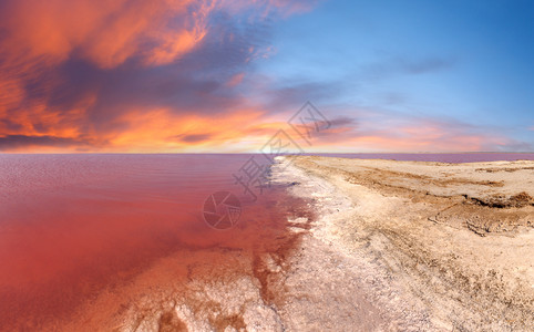粉红极咸锡瓦什湖上方的红日落以带有晶状盐沉降物的微藻为颜色也称普特里德海或罗滕乌克兰赫尔森地区图片