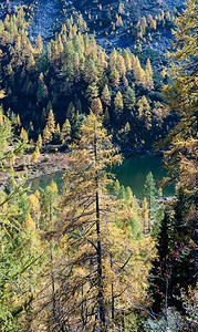 温尼秋天风景和平的山林湖水和反射清晰透明图片