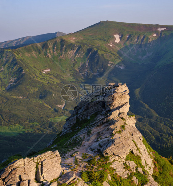 夏季山坡上的红玫瑰花朵和大岩石巨喀尔巴阡科诺霍拉乌克兰图片