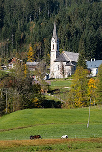 和平秋天阿尔卑斯山乡下阳光明媚的风景奥地利森林附近高索村郊外的教堂图片