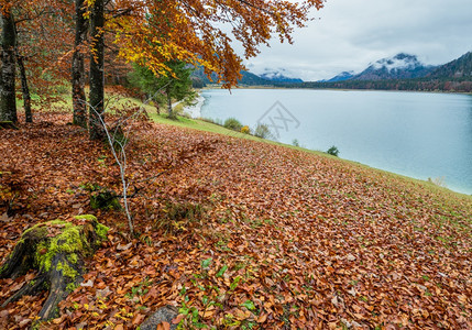 AlpineSylvensteinStausee湖位于德国巴伐利亚的伊萨河上秋天横扫雾和细雨日图片穿梭季节天气和自然美景概念场图片