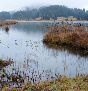 AlpineLakeGeroldee或WagenbruuchseeBavaria德国巴伐利亚秋天雾和细雨的一天图片穿梭季节天气农图片