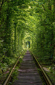 Love隧道位于乌克兰Klevan附近森林的铁路段因此命名为在之前附近村庄的女孩和前军事部队图片