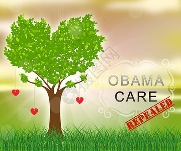 奥巴马医改或取代美国保健改革USA负担得起的保健立法2d说明图片