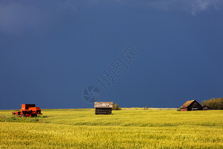 萨斯喀彻温帕蕊加拿大农场图片