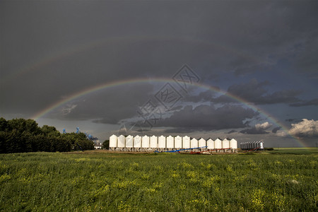 萨斯喀彻温帕蕊加拿大农场图片