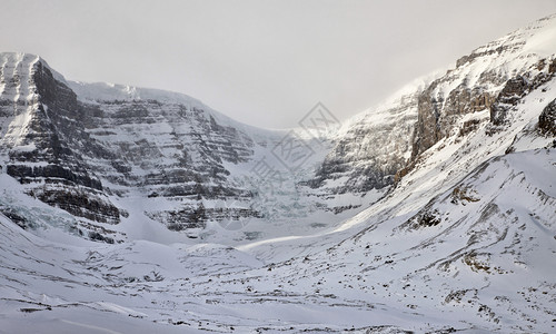 艾伯塔洛基山加拿大冬季背景图片