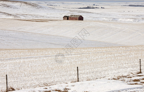 艾伯塔省冬季有围栏的建筑和田地图片