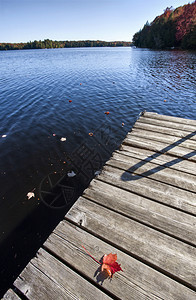 安大略省马斯科卡市阿尔冈琴湖秋色码头图片