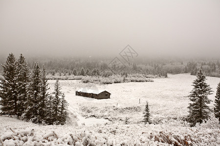 大雪房子Cypress山大雪和冰雾背景