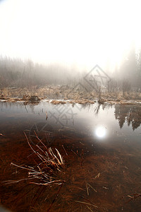 斯普林萨喀彻温的米丝晨湖图片