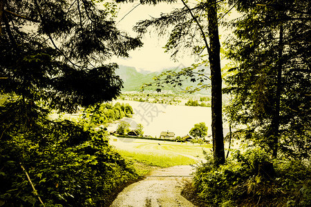 从森林到奥地阿尔卑斯山的道路图片