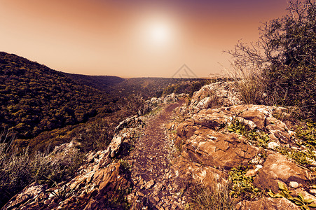 以色列西加利部在日落时森林岩石峡谷和橄榄树林的自然质图片