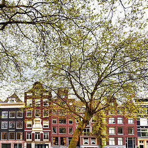 阿姆斯特丹市的历史建筑荷兰典型的砖房图片