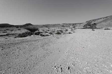 以色列内盖夫沙漠岩石丘陵的黑白戏剧景象中东令人发指的景象和自然质图片