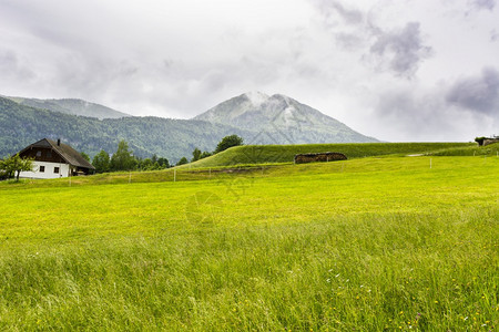 奥地利草原森林山地牧场草原和村庄覆盖着奥地利草原的晨雾奥地利农村有雨和云图片