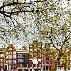 阿姆斯特丹市的历史建筑荷兰典型的砖房图片