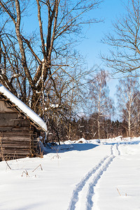 在俄罗斯摩伦克地区阳光明媚的冬季日图片