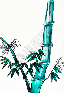 水墨龙凤在奶油纸上手工绘画用石墨纸上的皮用绿水彩色绘制的竹干背景
