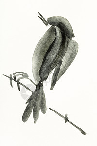 用水彩漆色涂料用Sumiesuibukuga风格的培训绘图树枝上的鸟是用奶油纸手工画的图片