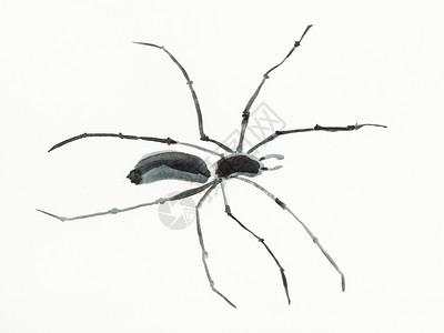 水墨龙凤用水彩油漆色涂料Sumiesuibukuga风格的训练绘图蜘蛛是用奶油纸手工画的背景