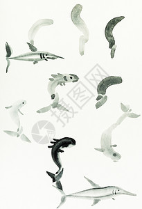 以水彩油漆suibokuga方式用水彩色涂料绘制训练各种鱼的草图用手画在乳油纸上图片