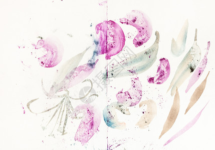 水彩花朵以SumieSuibokuga风格suibokuga进行训练第一次刷笔用白纸上的水颜色粉状叶和花朵背景