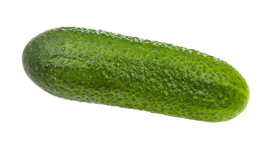 白色背景上孤立的新鲜绿黄瓜背景图片