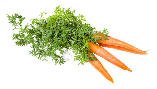 一群新鲜的有机花园胡萝卜白色背景的绿菜被隔离图片