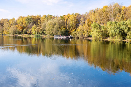 阳光明媚的秋天城市公园中平静池塘的风景图片