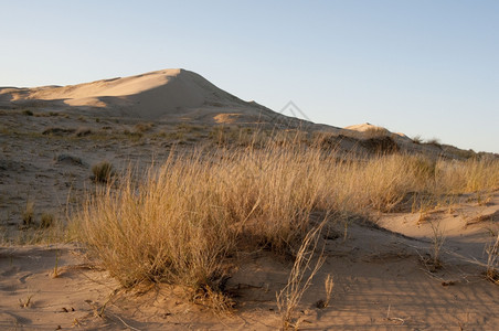 阳光沙丘里德米勒莫哈韦图片