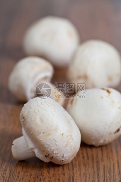 白色的菌菇图片