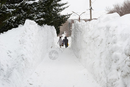 雪地的小道图片