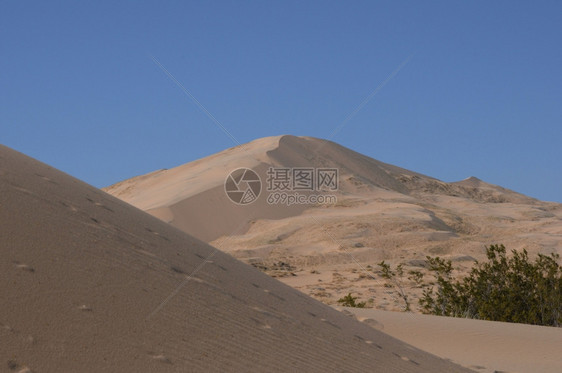 阳光轨道沙丘里德米勒图片