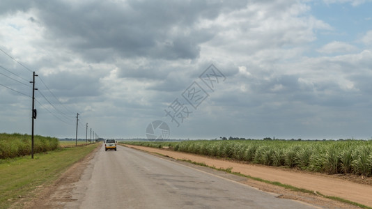 力量穿越莫桑比克甘蔗种植园的乡村道路砍伐情况莫桑比克贝拉丘图片